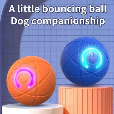 HappyBounce™  -Lelusi, joka pitää lemmikkisi aktiivisena, iloisena ja terveenä