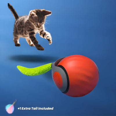 ZOOMPounce Kissan Lelu | Äärimmäinen Metsästysseikkailu Kissallesi