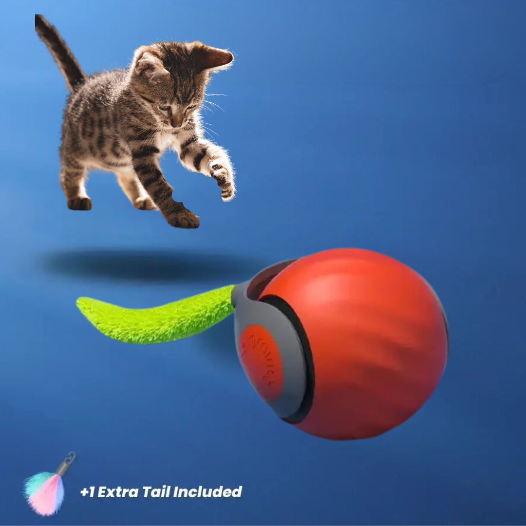 ZOOMPounce Kissan Lelu | Äärimmäinen Metsästysseikkailu Kissallesi