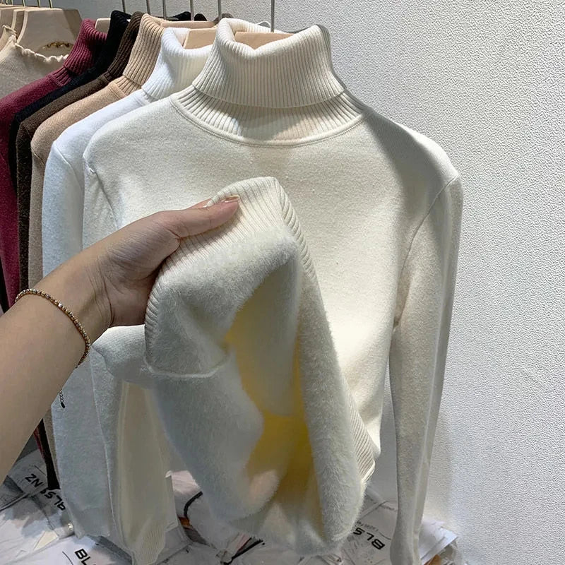 Aprikoosi / XL